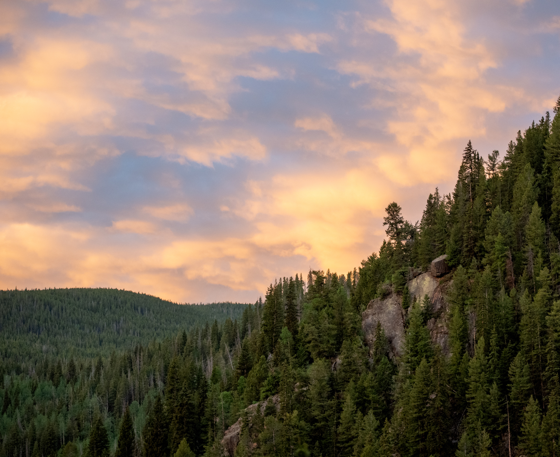 Explore and preserve.